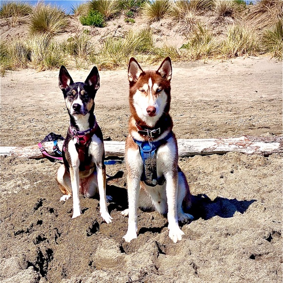 Meet your Posher, AL - Picture 13 of 16